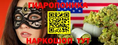 индика Ливны