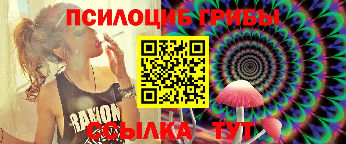 Киселёвск  Псилоцибиновые грибы Magic Shrooms  Вход с VPN 